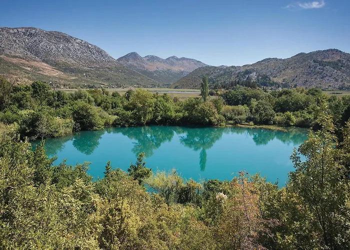 Awesome In Rogotin-ploce * Rogotin