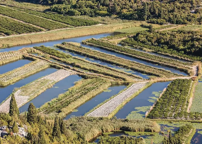 Awesome In Rogotin-ploce Διαμέρισμα Rogotin